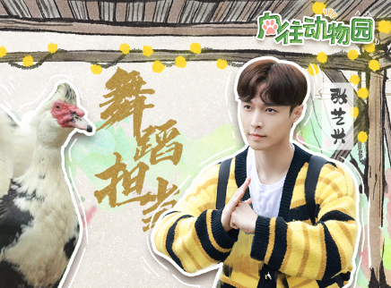 动物园第7期：蘑菇屋天团出道