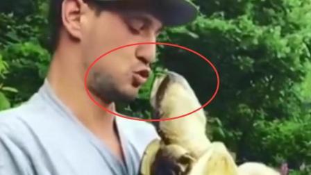 聊斋怪谈 男子逗弄乌龟却被强吻初吻竟然给了一只龟