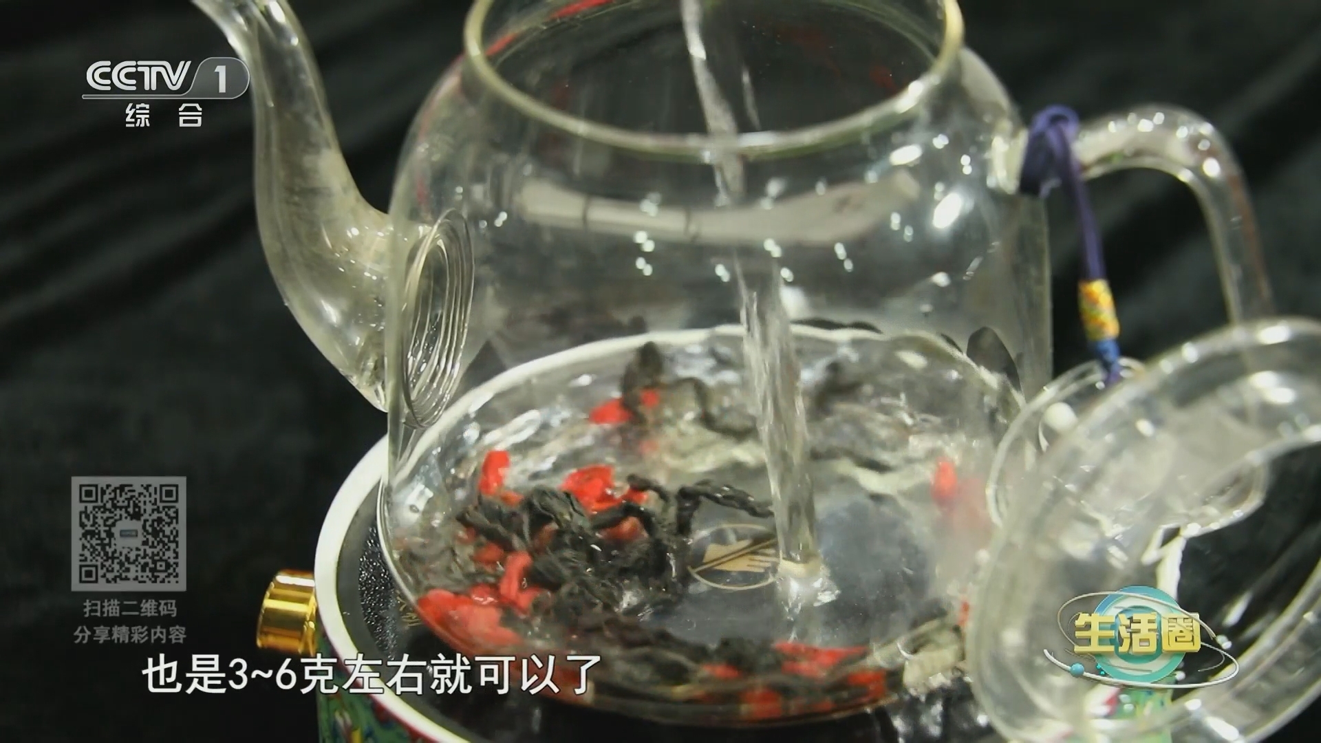 生活圈 《生活圈》 20231030