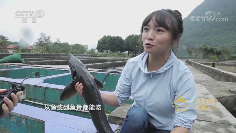消费主张 《消费主张》 20201008 2020中国夜市全攻略：四川彭州