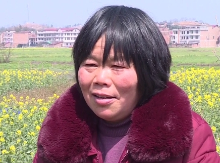 寻情记 孤女失踪之后继母有苦难言
