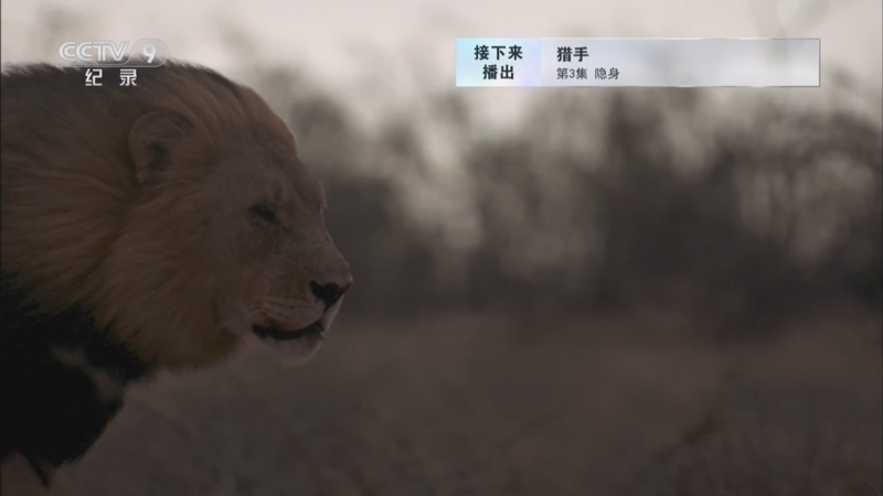 《猎手》 第3集 隐身