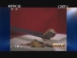 生财有道 《生财有道》 20140724 孤注一掷养林蛙