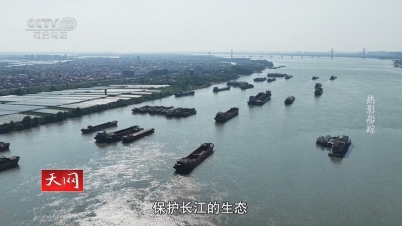 天网 《天网》 20250815 热影船踪