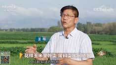 致富经 [致富经]花样玉米里外卖 废料卖出一亿多 20180830