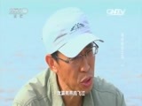 走近科学 《走近科学》 20160523 寻找神话之鸟（一）
