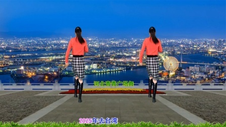 流行DJ广场舞及教学 第三季 火爆DJ广场舞《2025去台湾》演示分解
