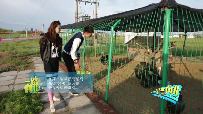 一路向北 《一路向北》第20集