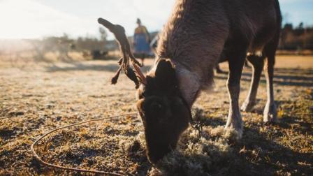 在最快乐的国度 挪威 邂逅幸福之光