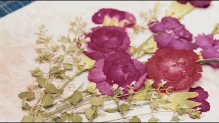 二更视频 这双手简直了 用残花做出绝美插画 705