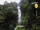 自然传奇 《自然传奇》 20170610 地球的馈赠