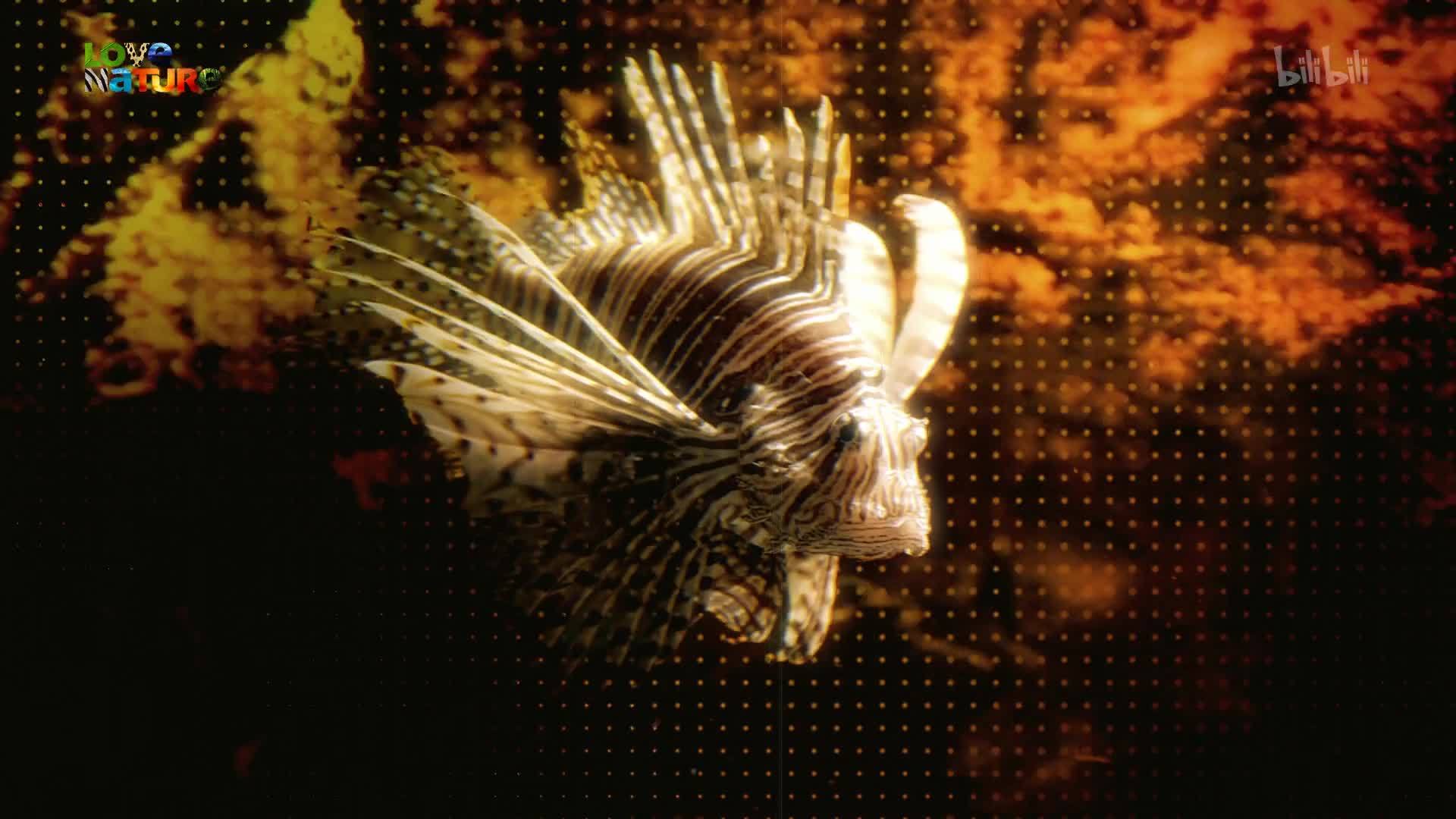 散发臭气的生物