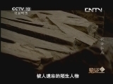 见证 《见证》 20130523 狄公仁杰