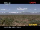 远方的家 《边疆行》第80集 肃北掠影《远方的家》20111028