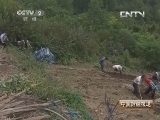 中国财经报道 《中国财经报道》 20131109 人参价格高涨的背后