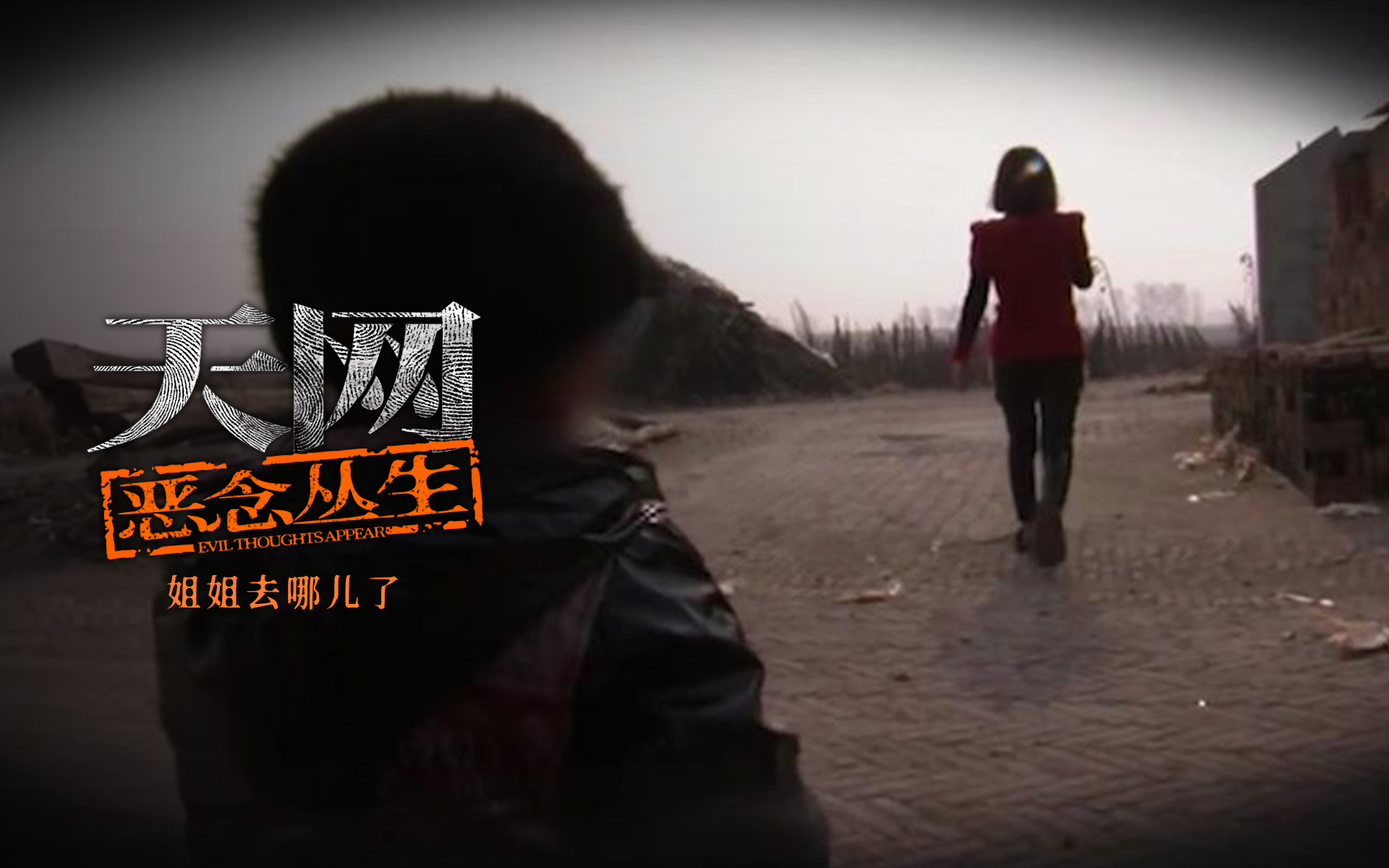 天网：恶念丛生 姐姐去哪儿了