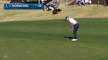 【球员集锦】霍舍尔状态火热推杆入洞，成功完成小鸟球
