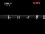 动物世界 《动物世界》 20111112