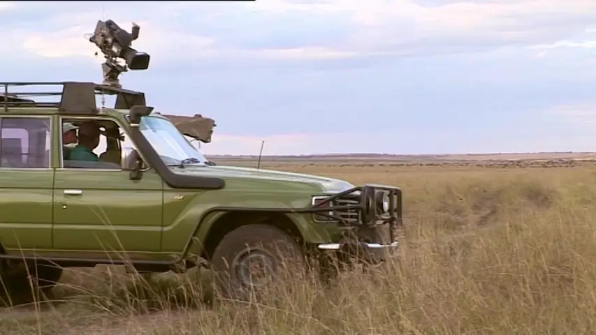 《大猫日记第七季》第3集