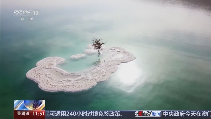 新闻直播间 《新闻直播间》 20260820 11:00