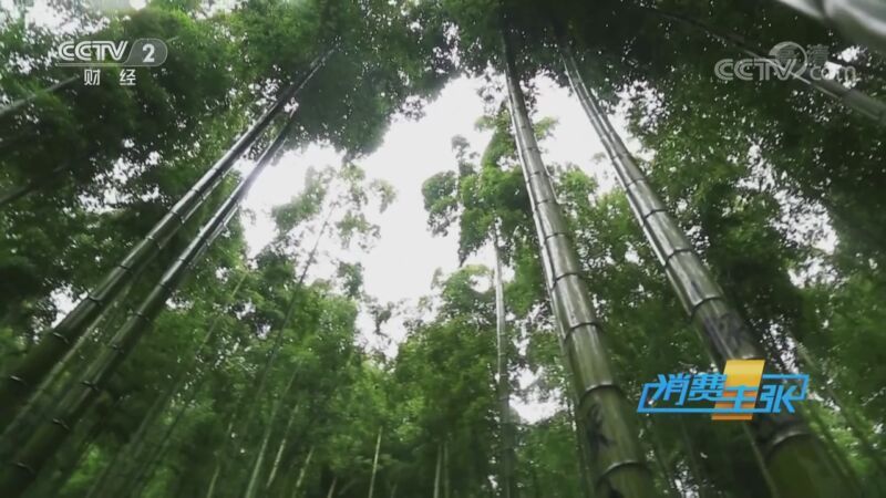 消费主张 《消费主张》 20200916 2020中国夜市全攻略：浙江安吉