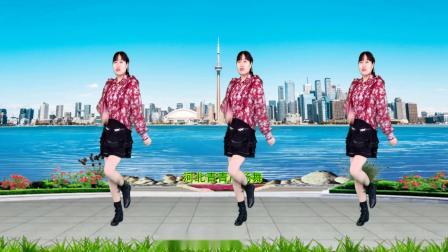 扭腰摆胯健身舞《磕儿》32步，动感带劲