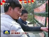 新闻联播 新闻联播完整版视频 20160210