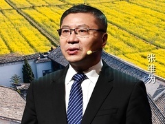 这就是中国 到中国去