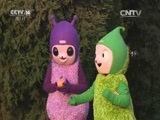 小小智慧树 《小小智慧树》 20160525
