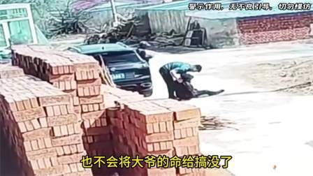 品人生百味第二季 大爷三轮车无意剐蹭到轿车，男子向大爷讨要说法，却引发一场悲剧