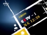 今日说法 《今日说法》 20151127 狗咬人新闻调查