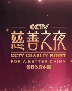 第六届“CCTV慈善之夜”