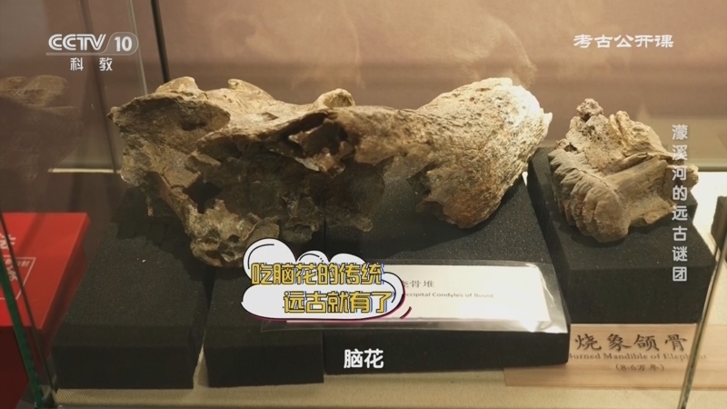 《考古公开课》 20260314 濛溪河的远古谜团