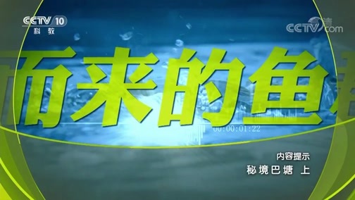 地理中国 《地理中国》 20190708 秘境巴塘 上