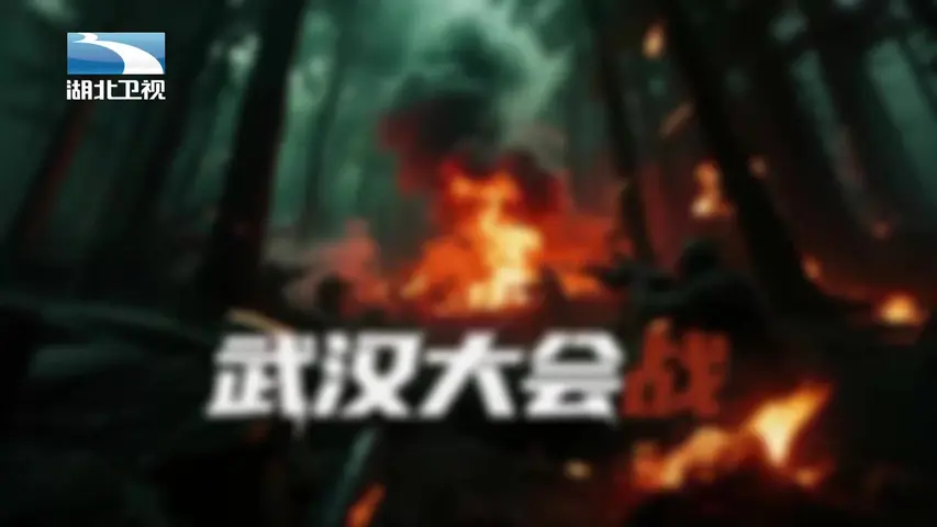 《武汉大会战》第3集
