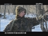《精彩放送》 20121010 东亚生态大勘探 第三集