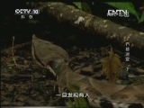 地理中国 《地理中国》 20130412 石巷迷宫 （下）