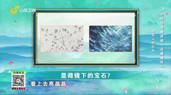 大医本草堂 开流节源降尿酸 远离痛风