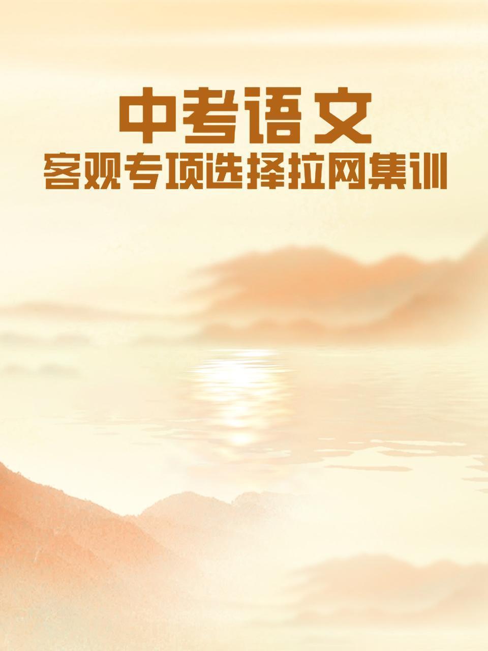 中考语文 客观专项选择拉网集训