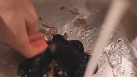 美女家务事 一分钟让水槽通畅