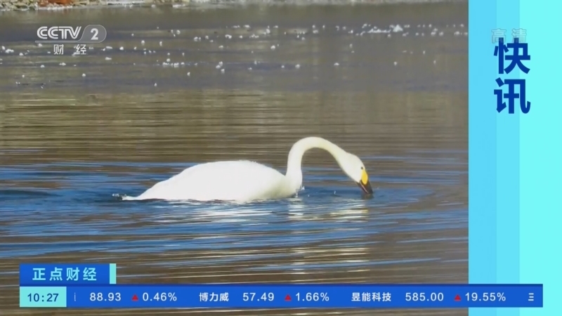 正点财经 《正点财经》 20221103 10:00