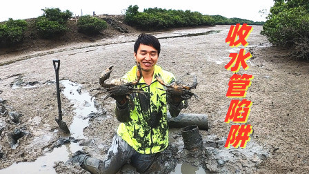 思乡渔夫 8个陷阱收了4只大青蟹，被其中2只螃蟹亮瞎狗眼，头一回见这个场面