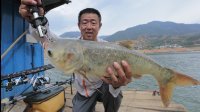 游钓中国 第二季 第6集 初探二滩水库