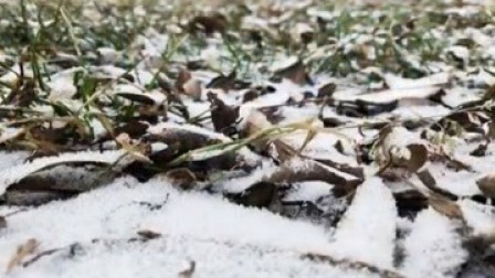 说天下 等雪来！全国多地“准点”下雪 仿佛冰雪童话世界