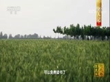 中国影像方志 《中国影像方志》 第23集 河北卷巨鹿篇