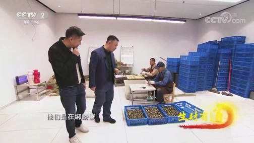 生财有道 《生财有道》 20191111 咱们家乡有特产 浙江吴兴：太湖蟹迎来丰收季