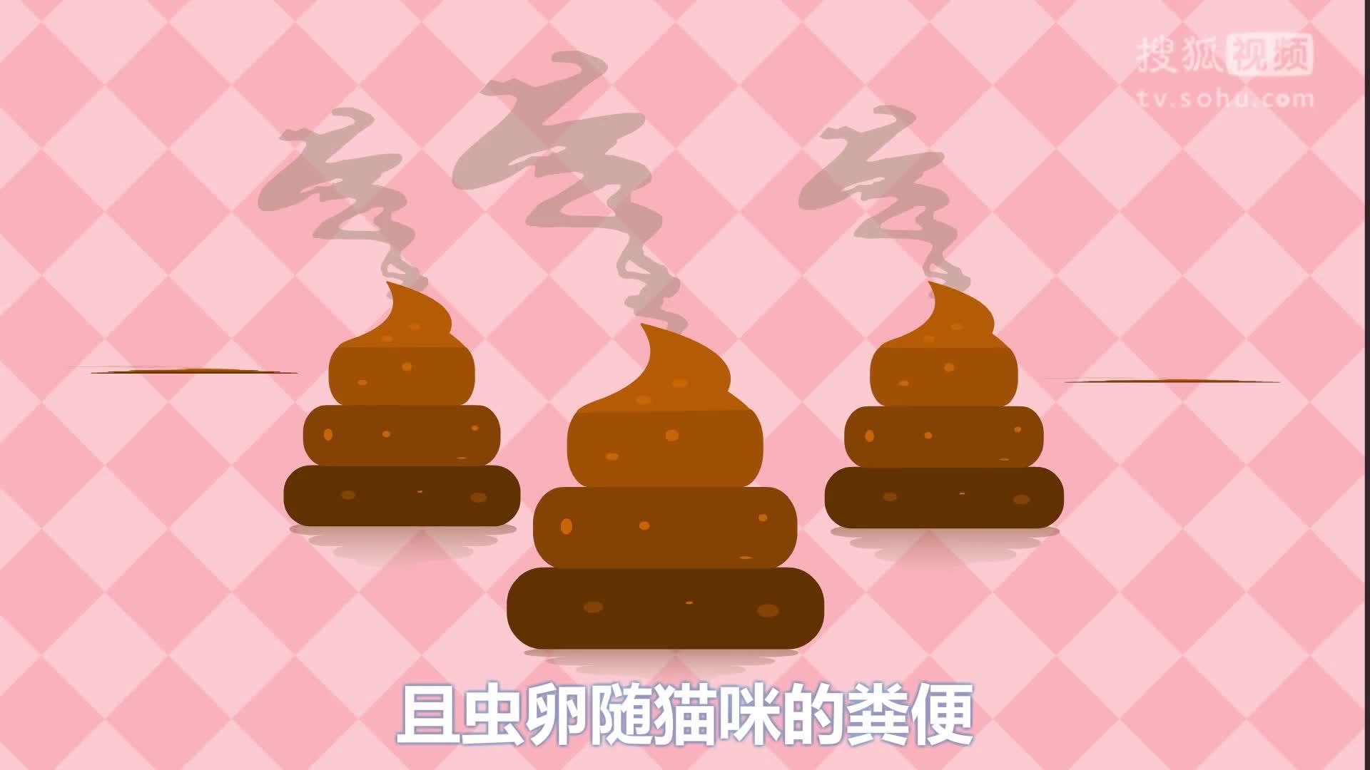别对妈说谎 【别对妈说谎】07孕期养宠物真的会感染弓形虫吗？