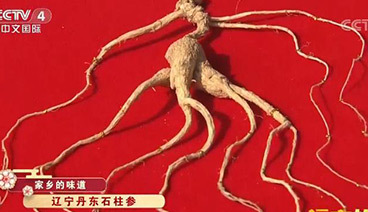 远方的家 《远方的家》 家乡的味道 黑土地上的珍宝 20190203