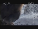 魅力纪录（CCTV-1综合频道） 《魅力纪录》 20121109 地球脉动 第五集 奇幻沙漠
