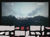 地理中国 《地理中国》 20120624 “咬人”的怪树